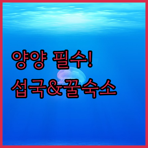 image b179b46f