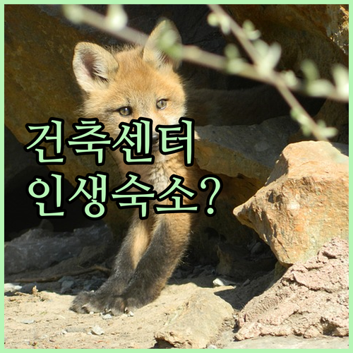 image bacf68f9