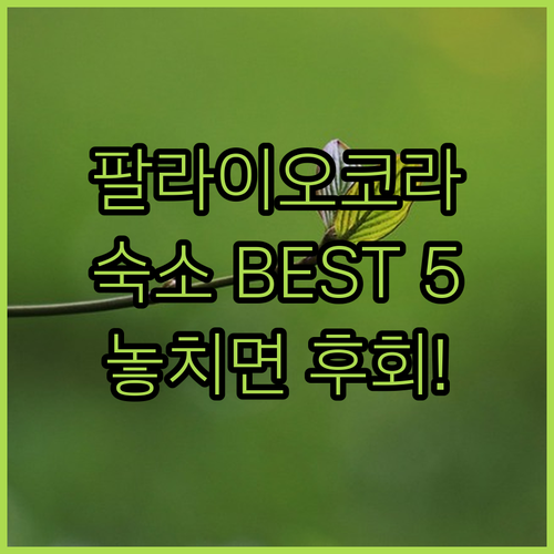image d2c06096