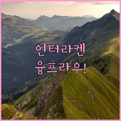 스위스 인터라켄 숙소 5곳 상세 후기 융프라우요흐 인접 위치와 시설 알아보기