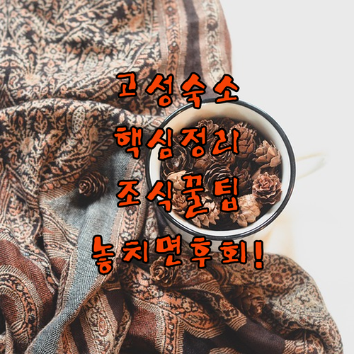 강원도 고성 숙소 추천 TOP 5 가격 위치 후기 분석 조식 시설 알아보기