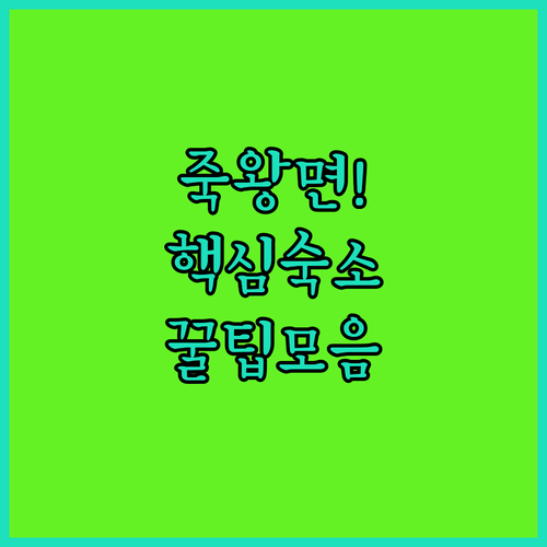 고성 죽왕면 숙소 추천 TOP 5 위치 가격 후기 분석 예약 링크 알아보기