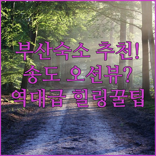 부산 숙소 추천 전포카페거리 여행 후 편안히 쉬기 좋은 송도 오션뷰와 리버뷰 숙소