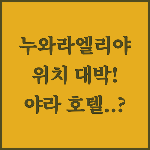 누와라 엘리야 호텔 추천 Yara Nuwara Eliya 시내 중심에 있어 이동이 편리한 곳