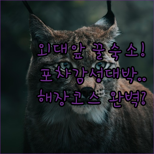 image 1503e8b1