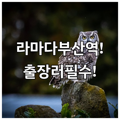 부산 호텔 추천 라마다 앙코르 바이 윈덤 부산역 KTX 역세권 비즈니스 출장 숙소