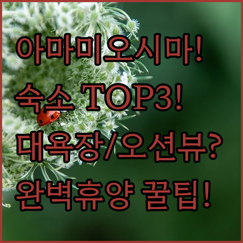 아마미 오시마 숙소 추천 대욕장과 조식부터 오션뷰 휴양까지 취향별 3곳
