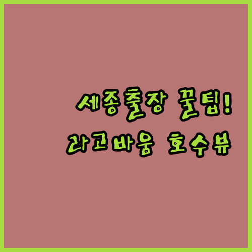 세종 숙소 추천 정부청사 출장과 호수뷰 휴식에 좋은 라고바움 호텔