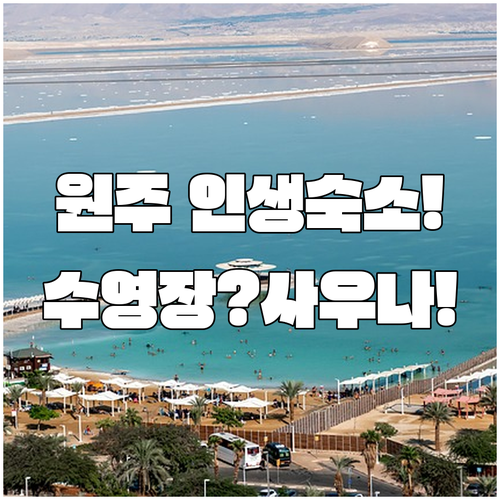 원주 숙소 추천 야외 수영장에 바비큐냐 실내 사우나 호캉스냐