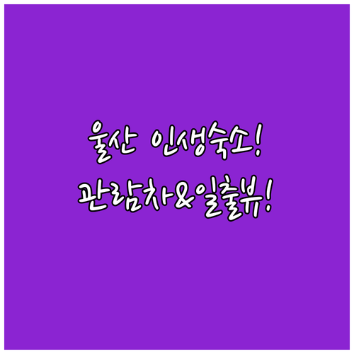 울산 숙소 추천 관람차 야경부터 강동몽돌해변 일출 보는 숙소 5곳