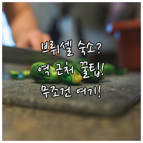 브뤼셀 숙소 추천 중앙역과 미디역 근처라 이동이 편한 곳