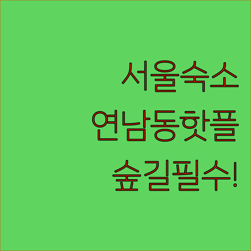 서울 숙소 추천 연남동 골목과 경의선숲길을 함께 즐기는 여행